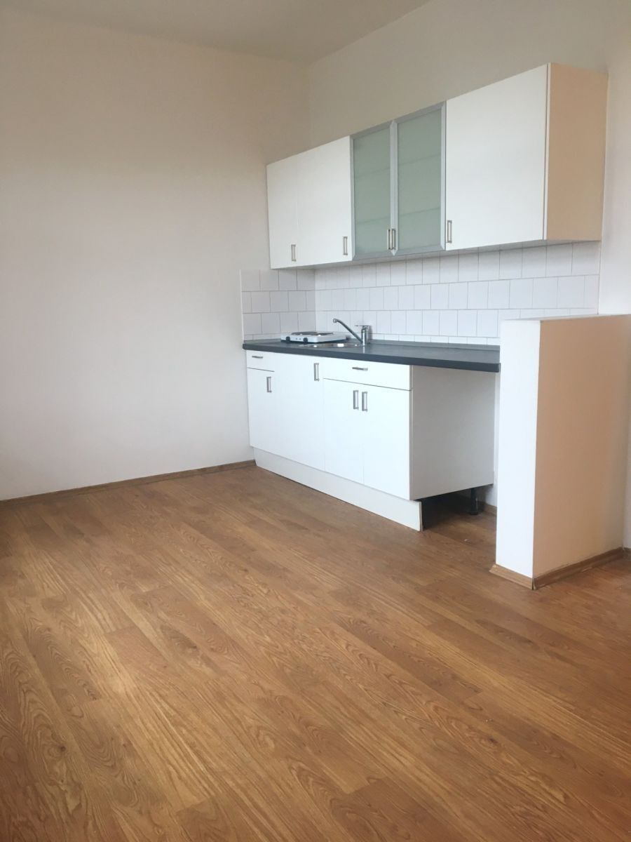1+kk, Pod Sychrovem Ⅰ, Praha - Vršovice, 24 m² - 2