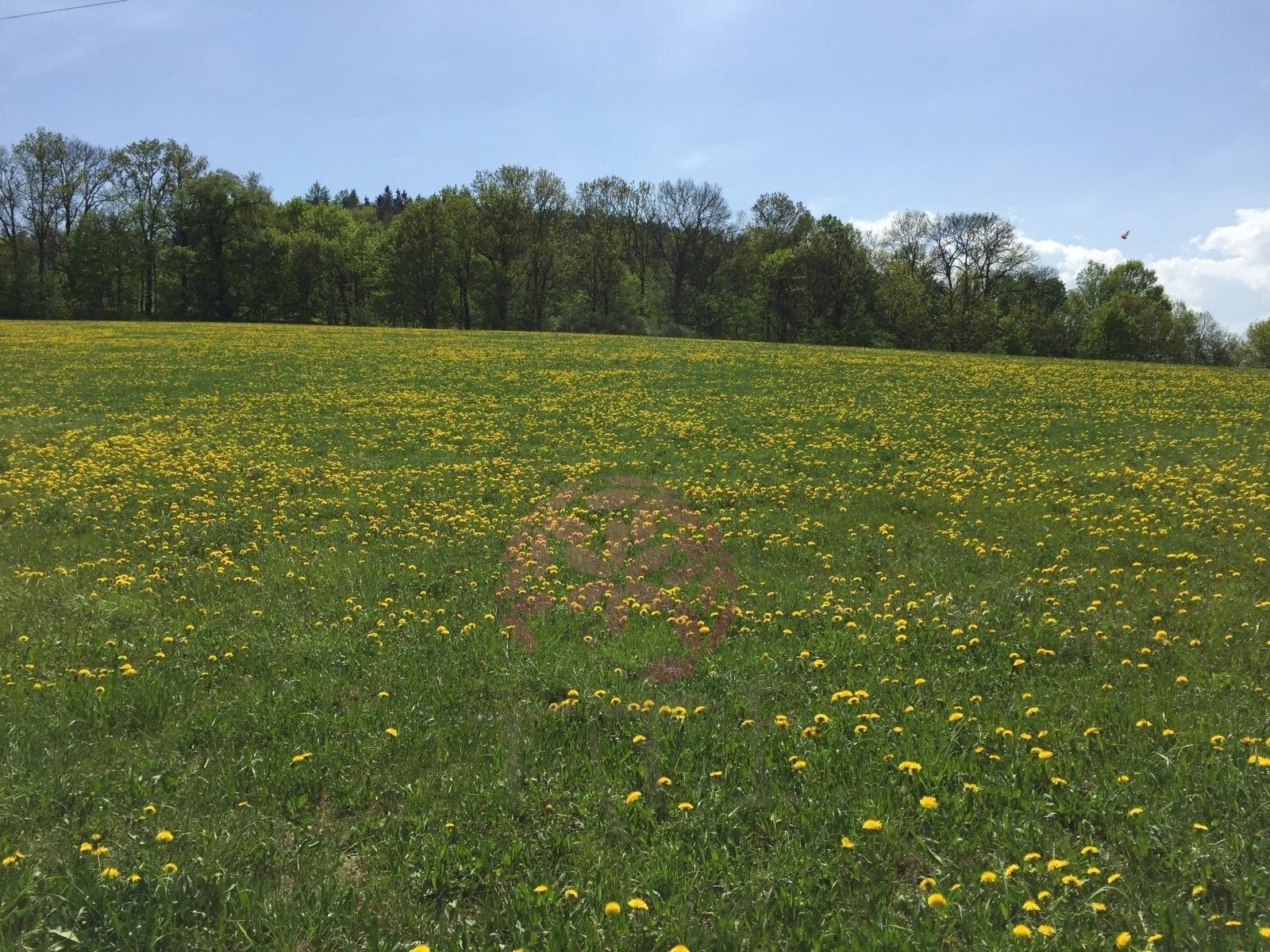 Prodej pozemek pro bydlení - náměstí Svobody, Volyně, 6 867 m²