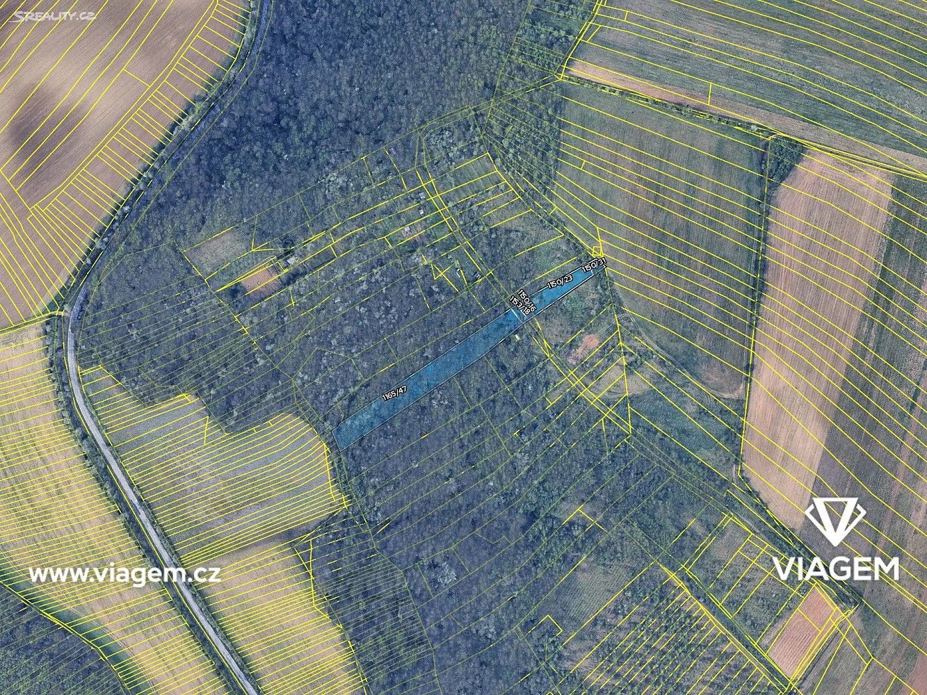 Les · Silůvky, okres Brno-venkov, Jihomoravský kraj - 4