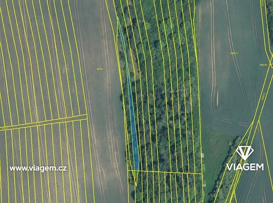 Zemědělský pozemek · Bzenec, okres Hodonín, Jihomoravský kraj - 1