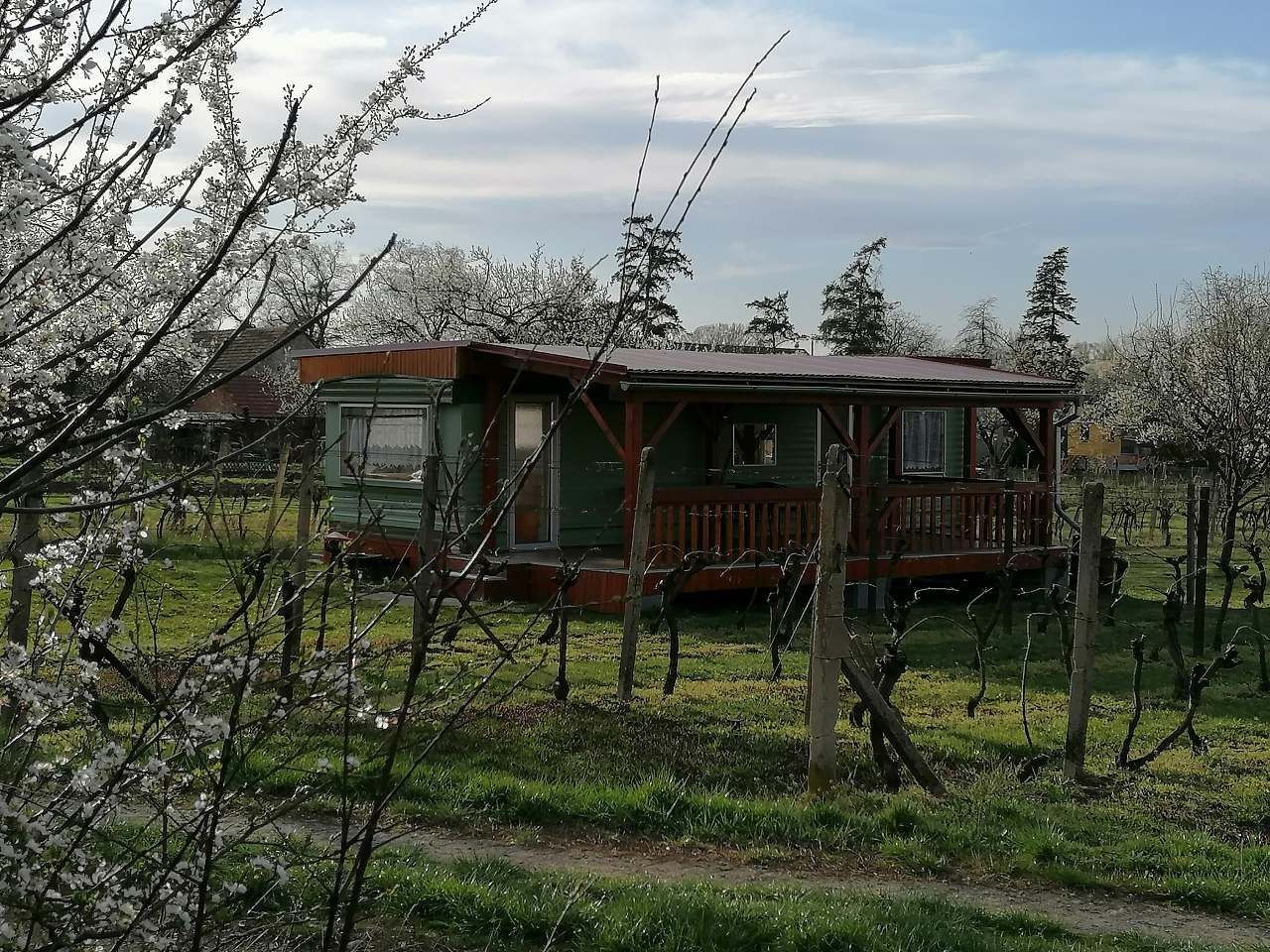 Chaty, Dolní Věstonice - Dolní Věstonice, Jihomoravský kraj - 2