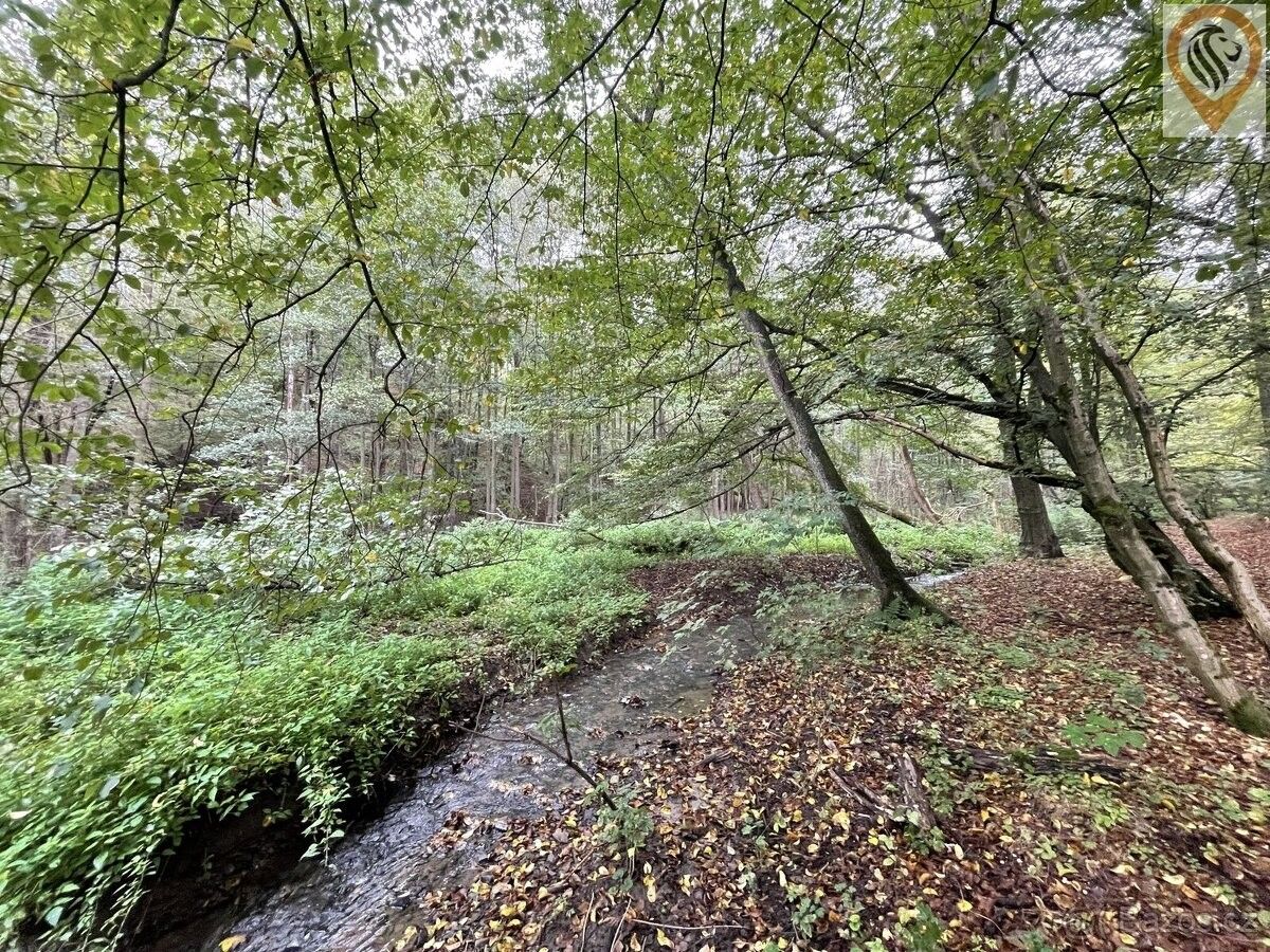 Pozemky pro bydlení, Braškov, 273 51