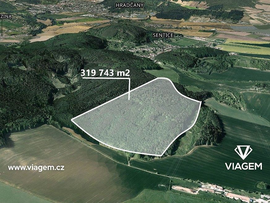 Prodej les - Sentice, okres Brno-venkov, Jihomoravský kraj - 1