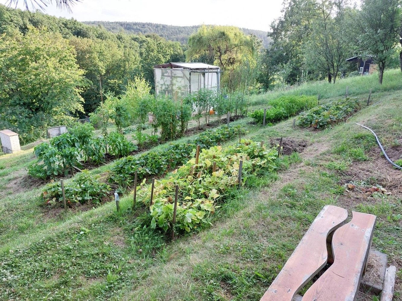 Prodej zahrada - Zlín - Malenovice, Zlínský kraj - 5
