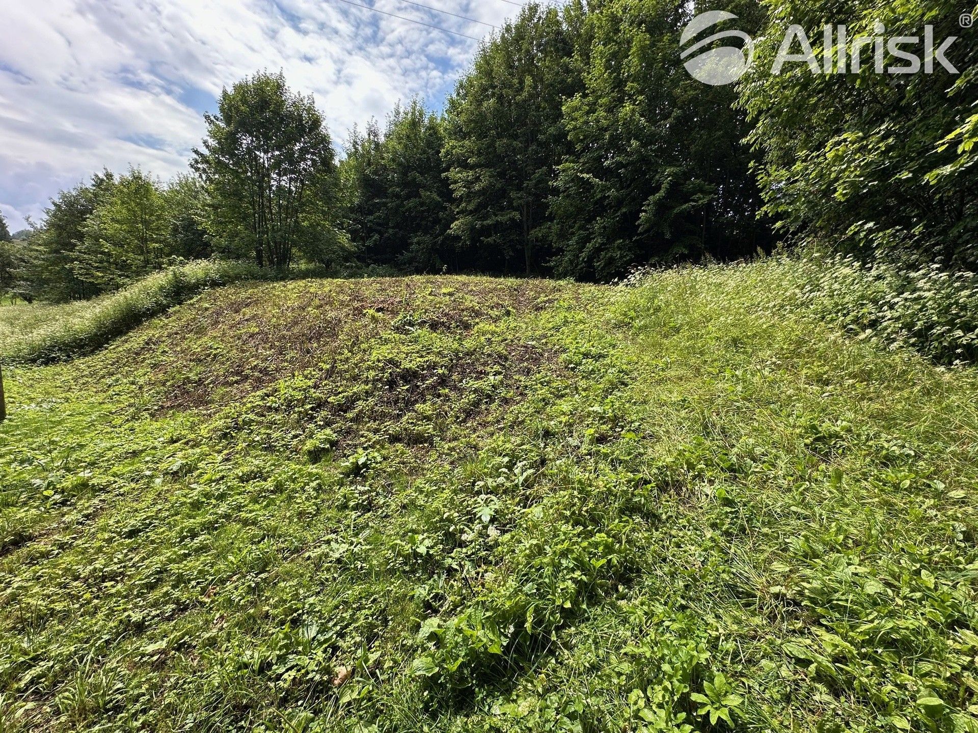 Prodej pozemek pro bydlení - Vlčice