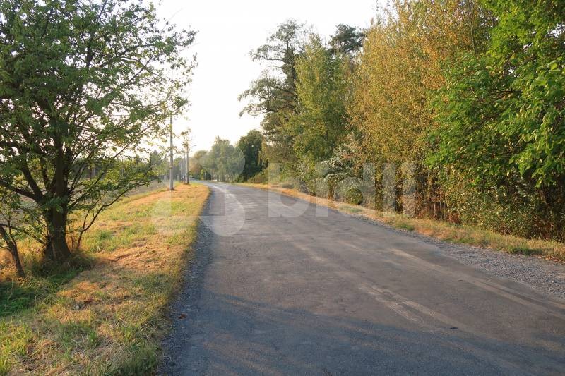 Prodej zemědělský pozemek - Bělkovice-Lašťany - 5