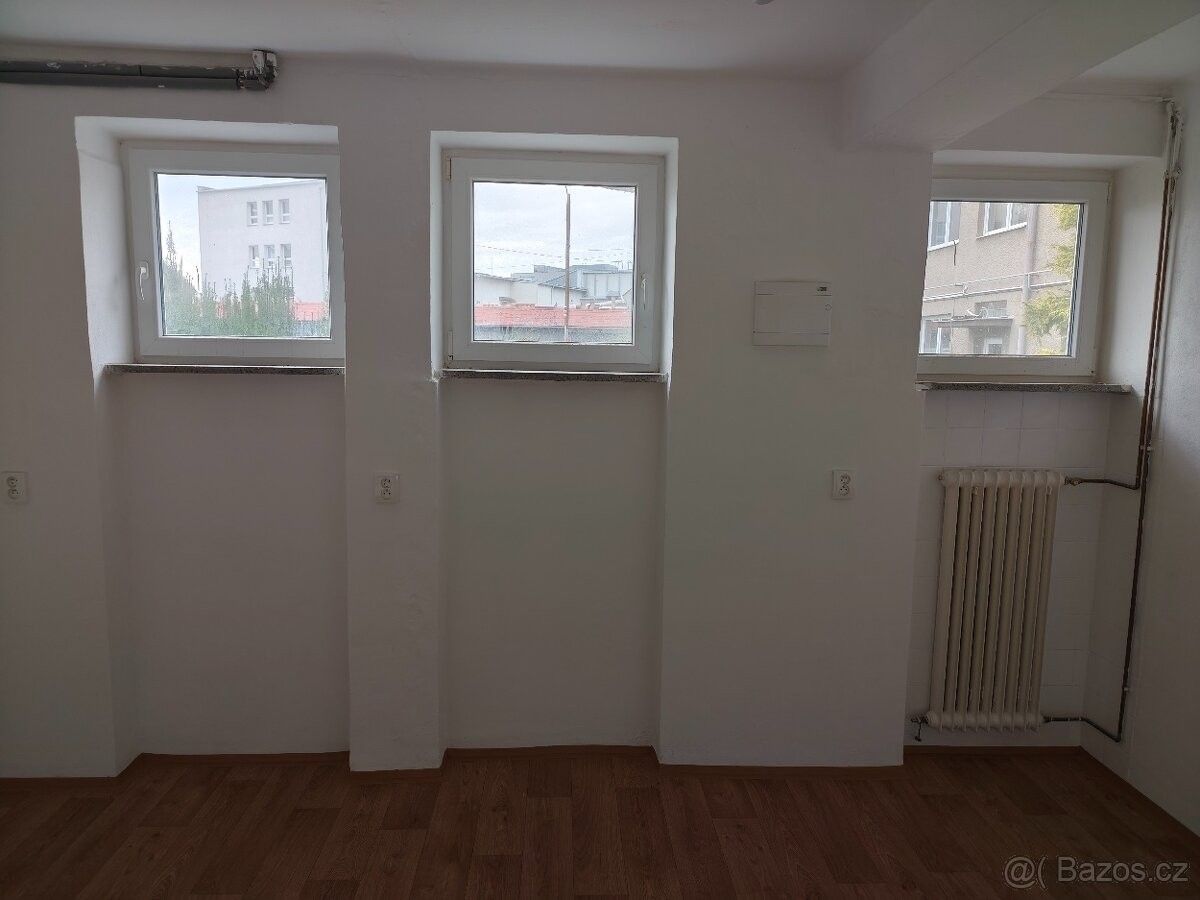 Obchodní prostory, Opava, 746 01