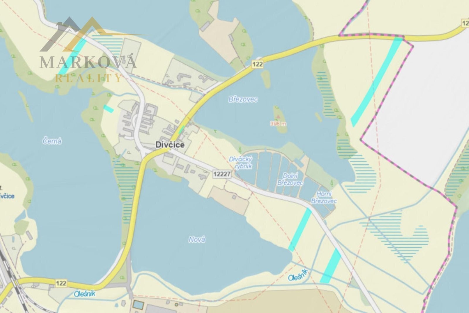Zemědělské pozemky, Dívčice, 10 895 m² - 1