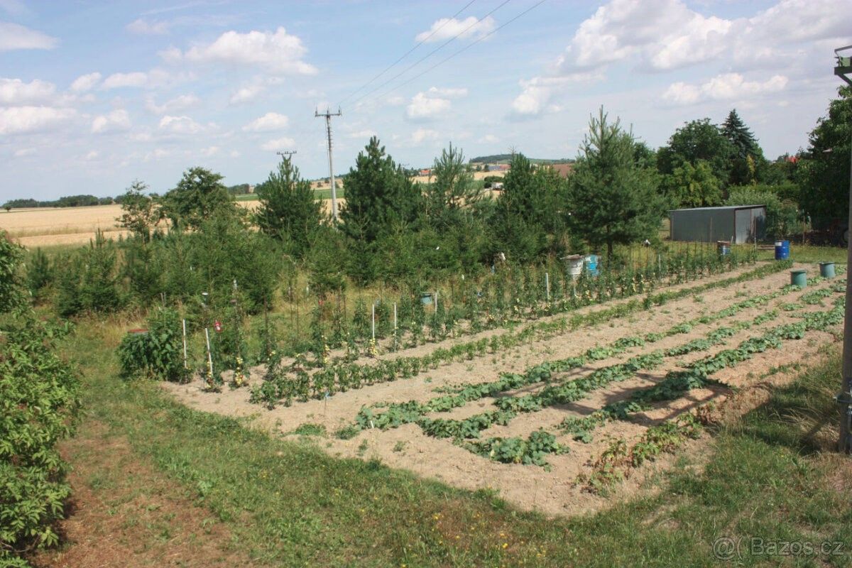 Pozemky pro bydlení, Kutná Hora, 284 01