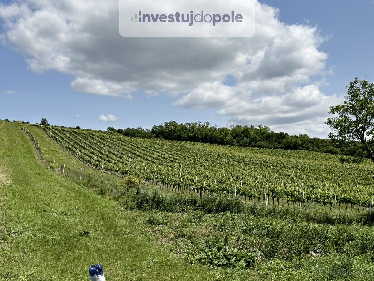 Prodej pozemek pro bydlení - Šardice, 696 13 - 5