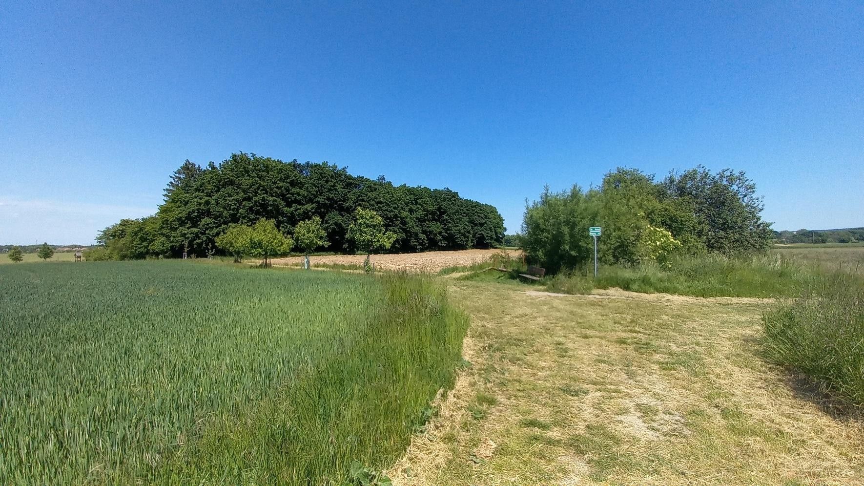 Zemědělský pozemek · 678 m² · Říčanská, Čestlice - 3