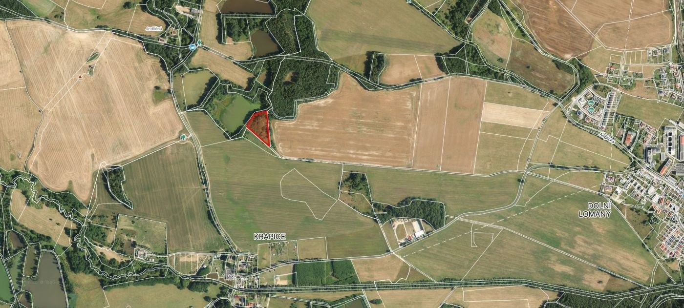 Zemědělské pozemky, Anglická, Františkovy Lázně