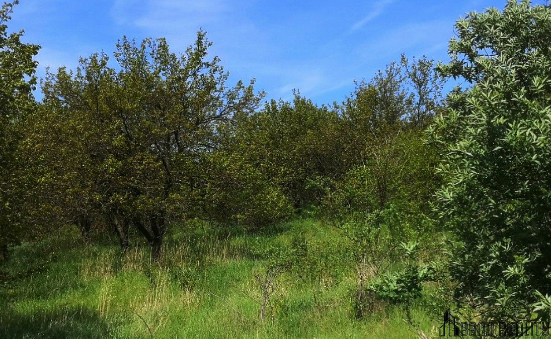 Pozemek · Hustopeče, okres Břeclav, Jihomoravský kraj - 4