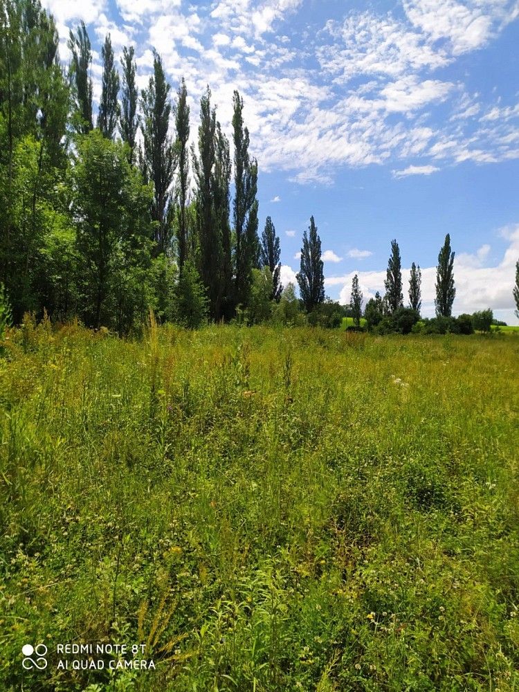 Komerční pozemky, Libouchec, okres Ústí nad Labem, Ústecký kraj - 2