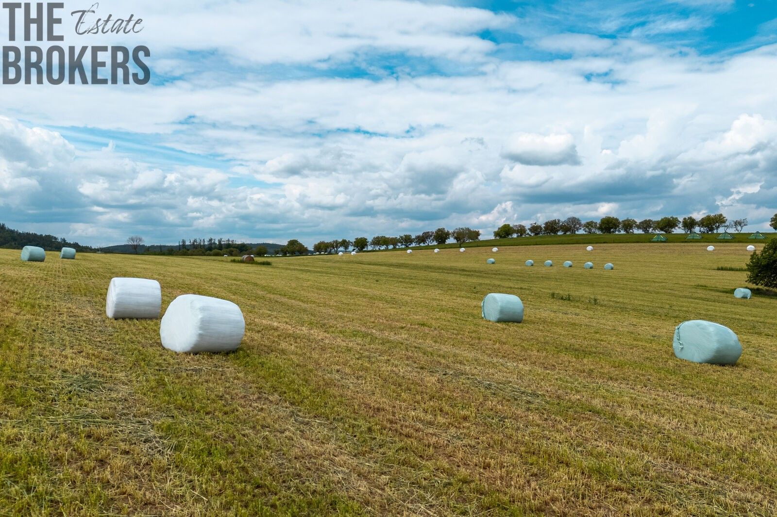 Zemědělský pozemek · 29 192 m² · Neveklov - 4