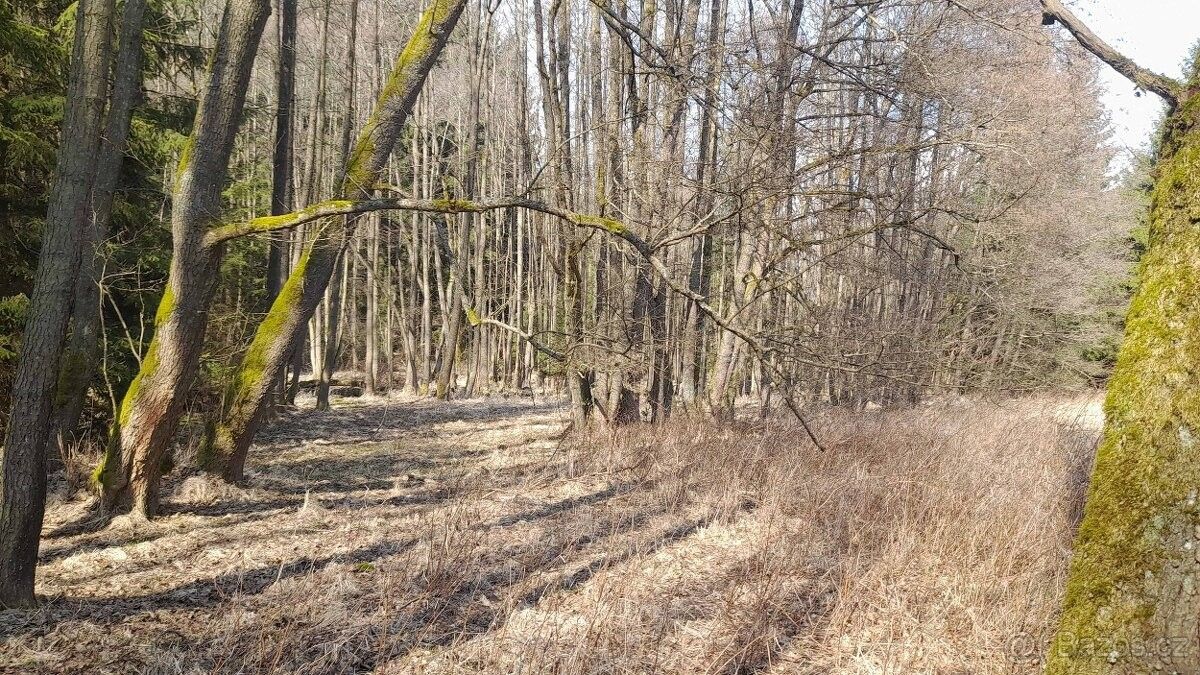 Prodej pozemek pro bydlení - Plánice, 340 34 - 5