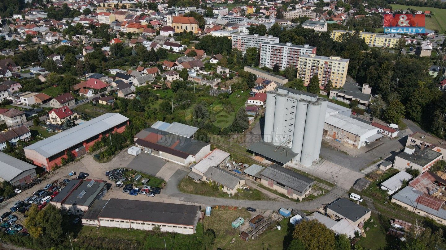 Ostatní, Mánesova, Kostelec nad Orlicí, 1 050 m²