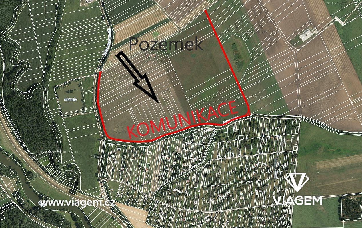 Zemědělský pozemek · Ladná, okres Břeclav, Jihomoravský kraj - 3