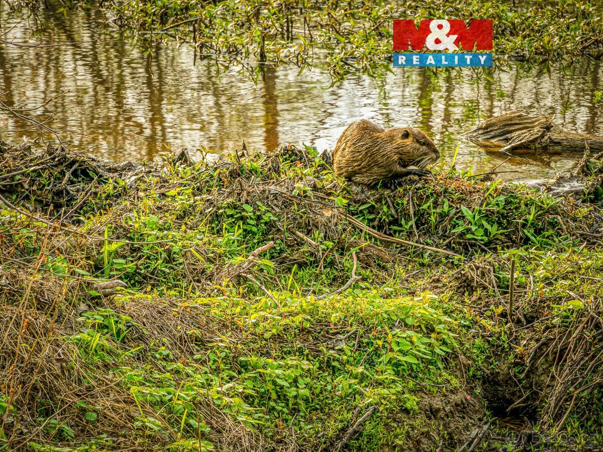 Pozemky pro bydlení, Čerčany, 257 22