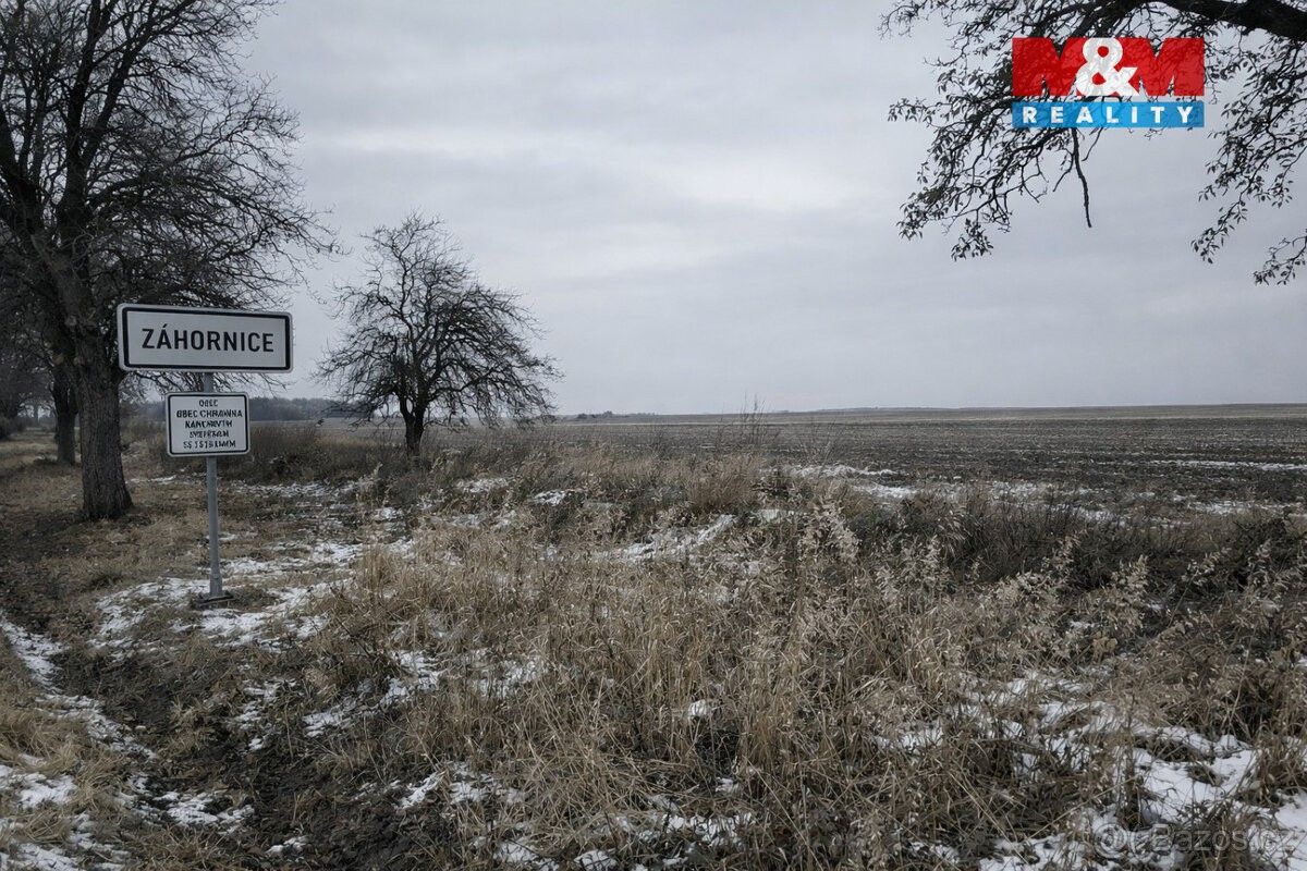 Prodej pozemek pro bydlení - Městec Králové, 289 03