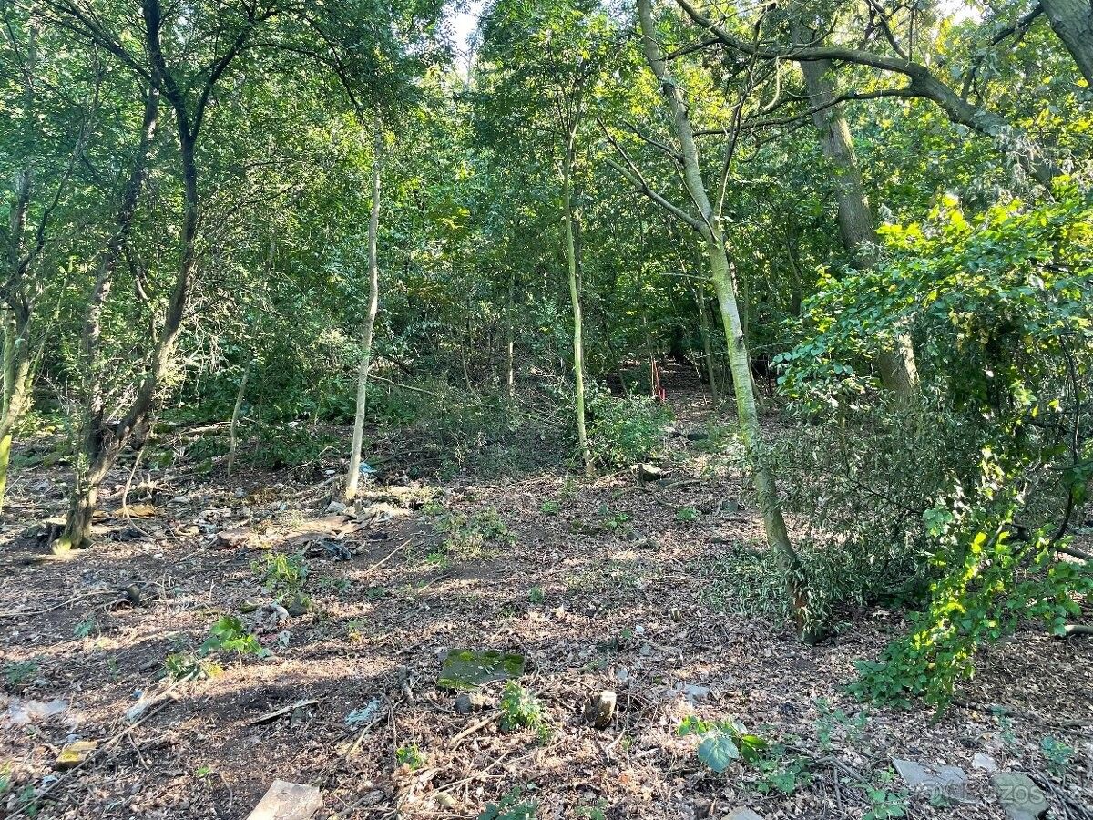 Prodej pozemek pro bydlení - Bílina, 418 01