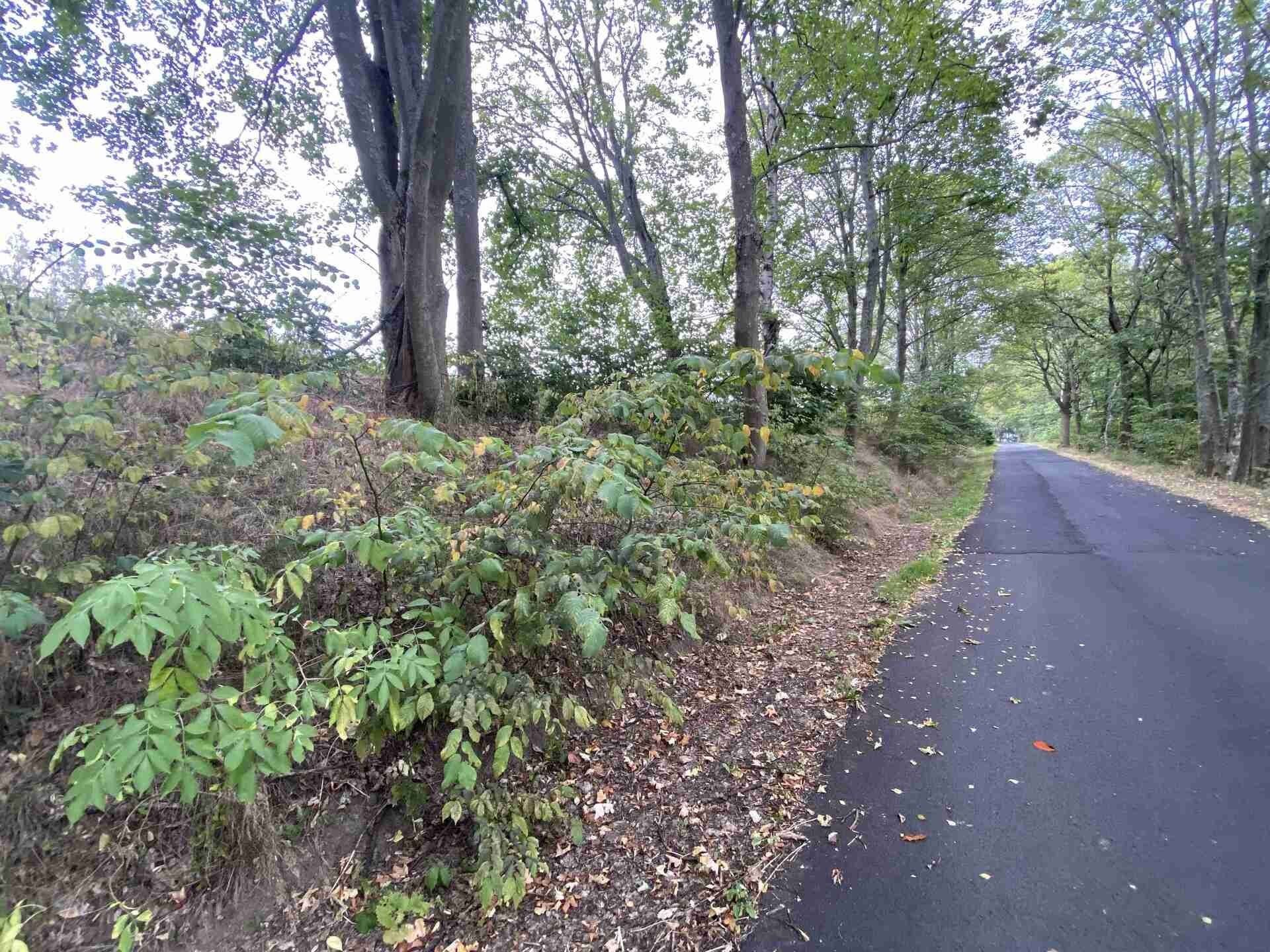 Prodej zemědělský pozemek - Dolní Nivy, 1 m²