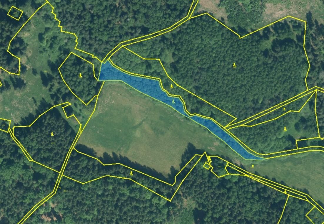 Prodej les - Nové Domky, Rozvadov, 5 912 m²