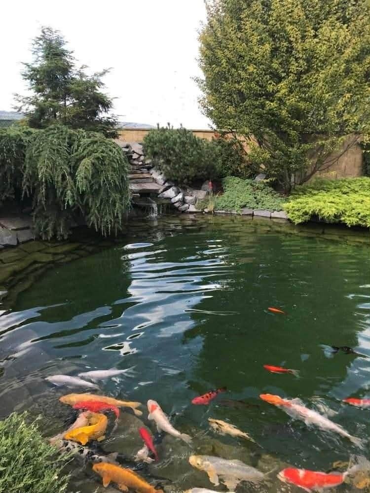 Prodej rodinný dům - Březno u Mladé Boleslavě, 294 06