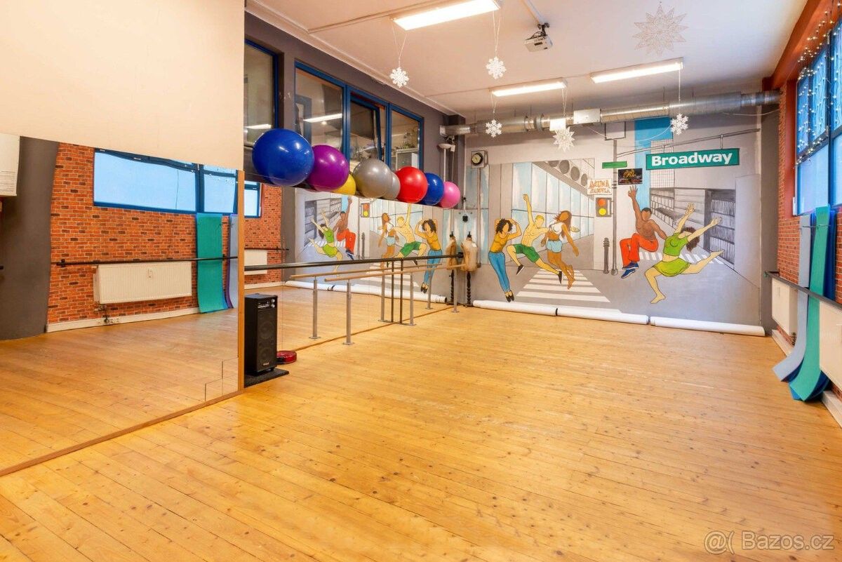 Pronájem ostatní - Praha, 160 00