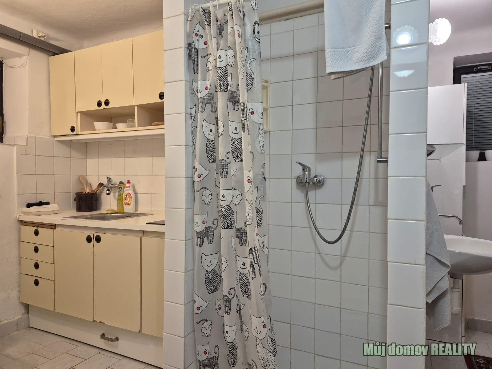 Pronájem byt 1+1 - Kolářova, Praha, 35 m²