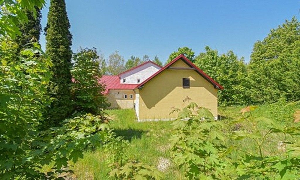 Komerční pozemek · Dolní Rožínka, okres Žďár nad Sázavou - 3