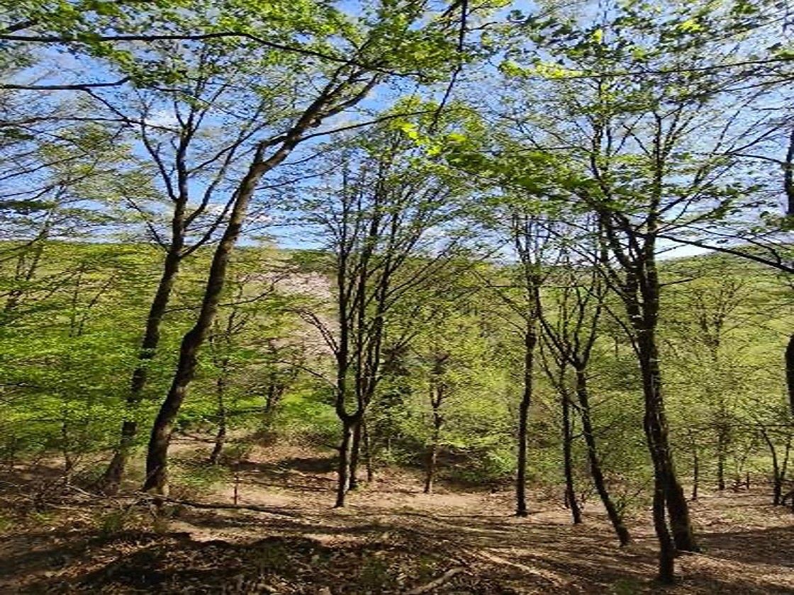 Les, 26 738 m²