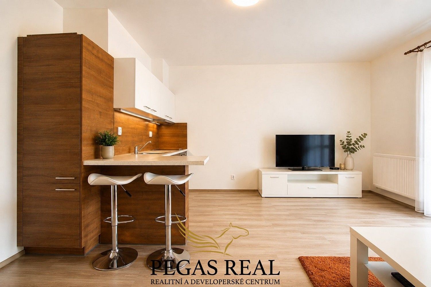 Byt 1+kk · 55 m² · Šlapanice, okres Brno-venkov, Jihomoravský kraj - 4