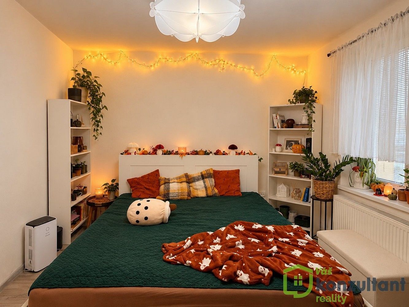1+1, Polanova, Opava - Předměstí, 33 m² - 1