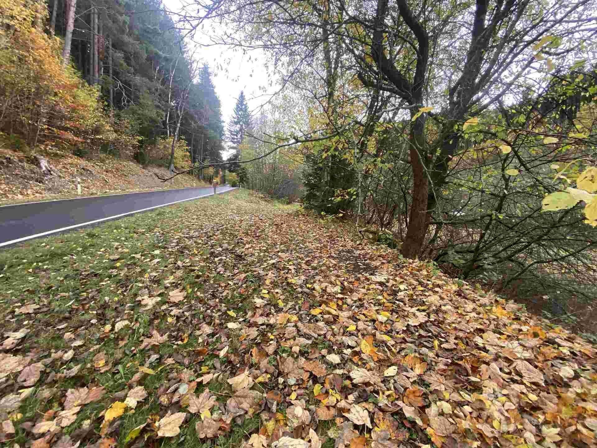 Ostatní, Hartmanice, 1 m²