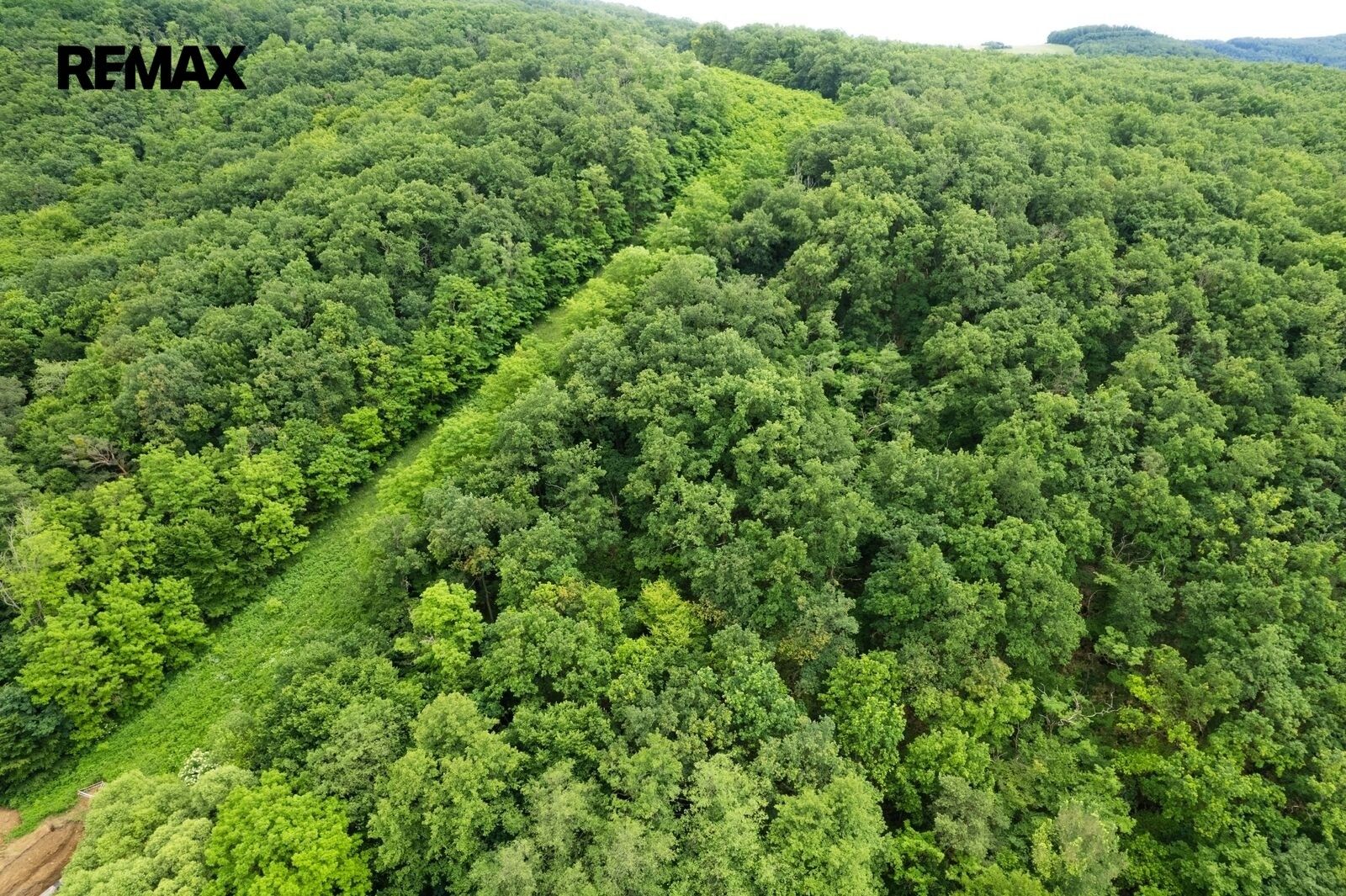 Les · 9 157 m² · Moravské Bránice - 4