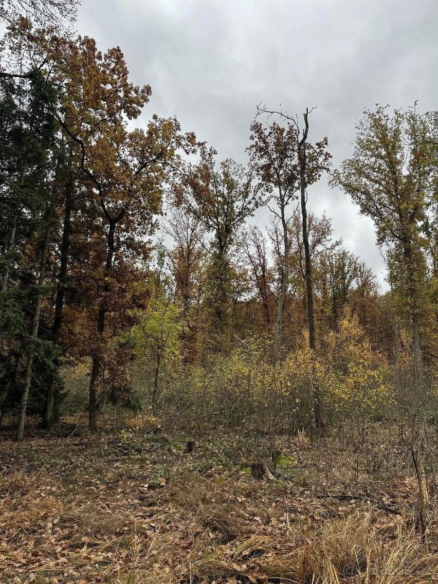 Prodej pozemek pro bydlení - Přeštice, 334 01