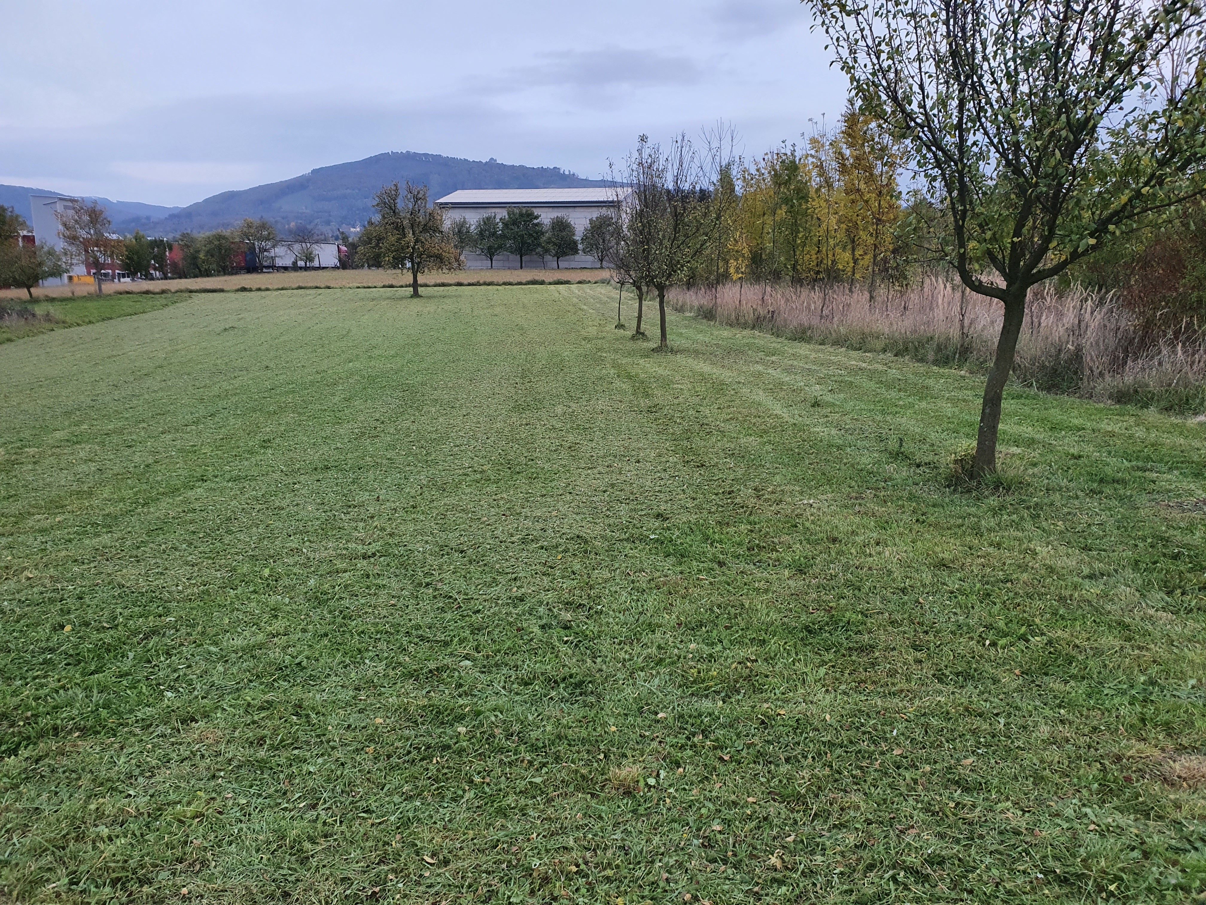 Prodej komerční pozemek - Holešovská, Bystřice pod Hostýnem, 2 580 m²