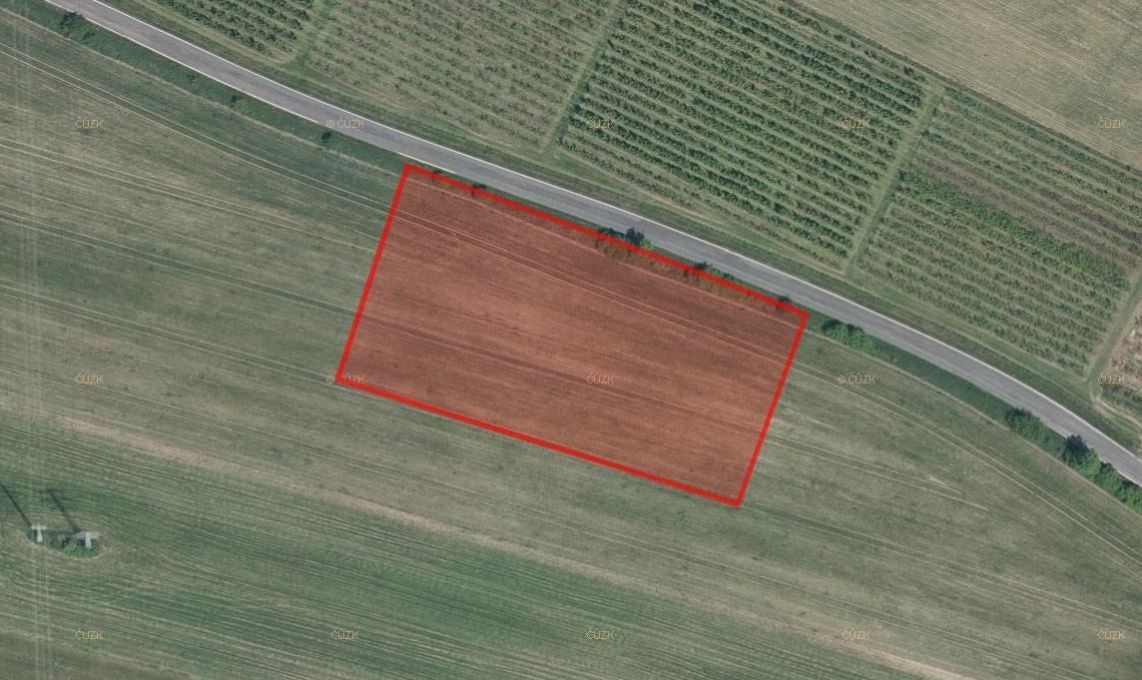 Prodej zemědělský pozemek - Vrchoviny, Nové Město nad Metují, 13 945 m²