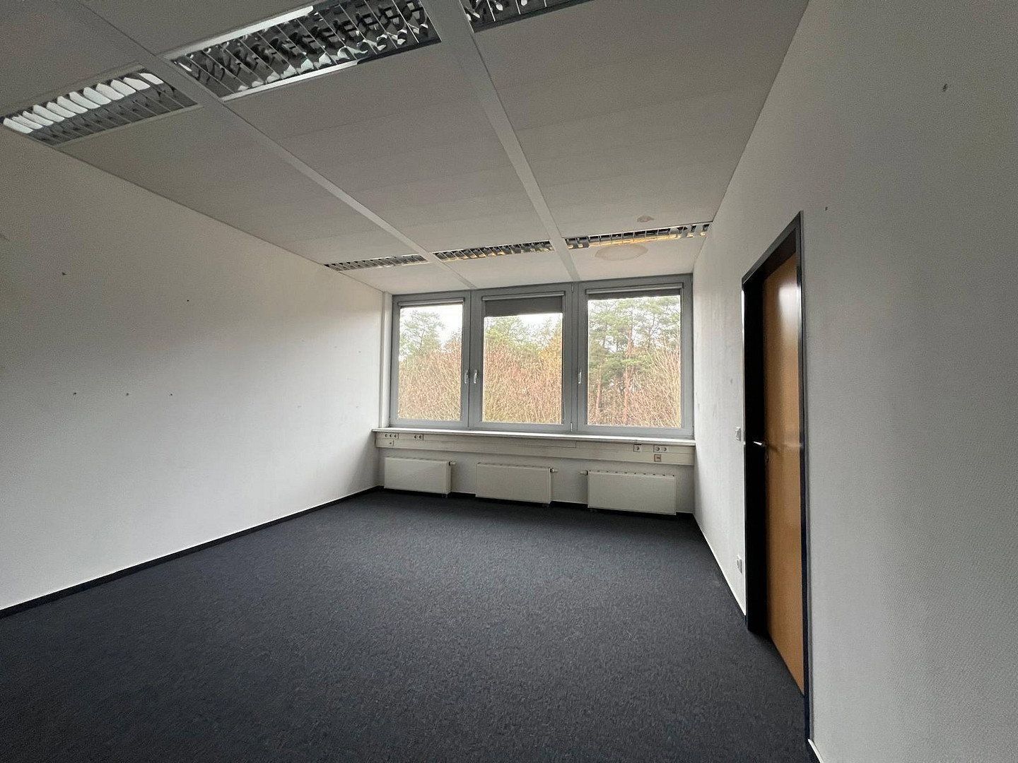 Pronájem kancelář - Rövertannen 13, , Mecklenburg-Vorpommern, 37 m² - 5