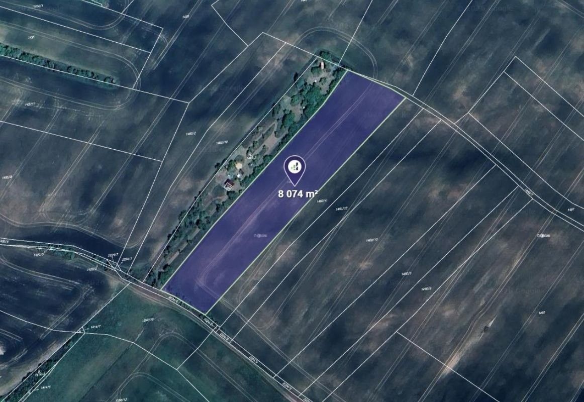 Zemědělské pozemky, Pavlice, 8 074 m²