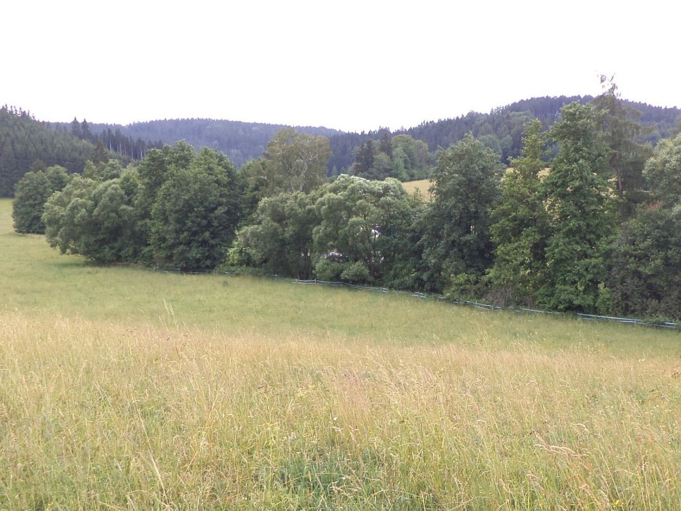 Zemědělský pozemek · Staré Buky, okres Trutnov, Královéhradecký kraj - 3