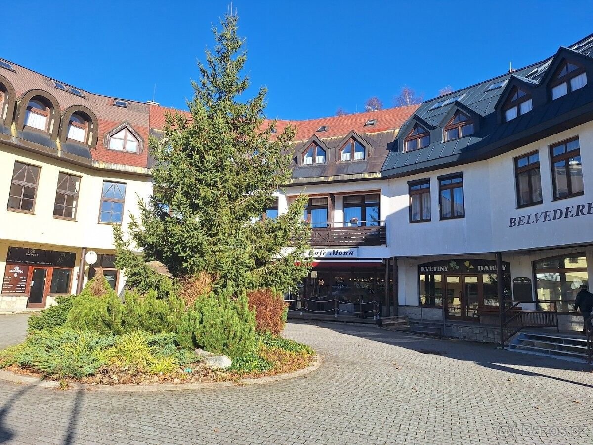 Byty, Harrachov v Krkonoších, 512 46