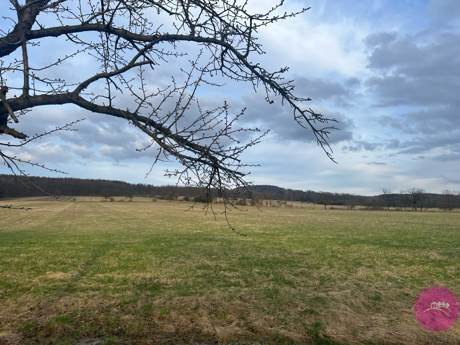 Zemědělský pozemek · 13 030 m² · Bělkovice-Lašťany - 3