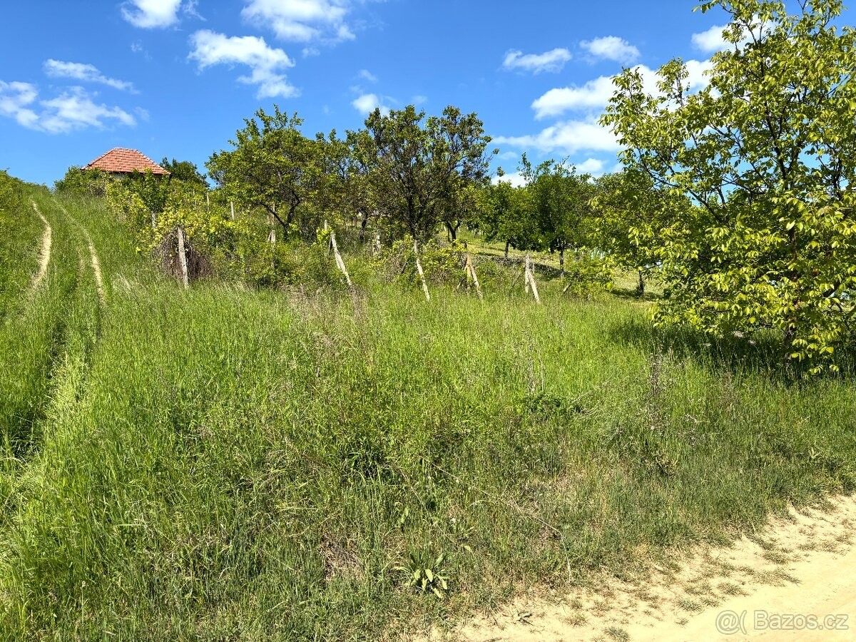 Prodej pozemek pro bydlení - Archlebov, 696 33