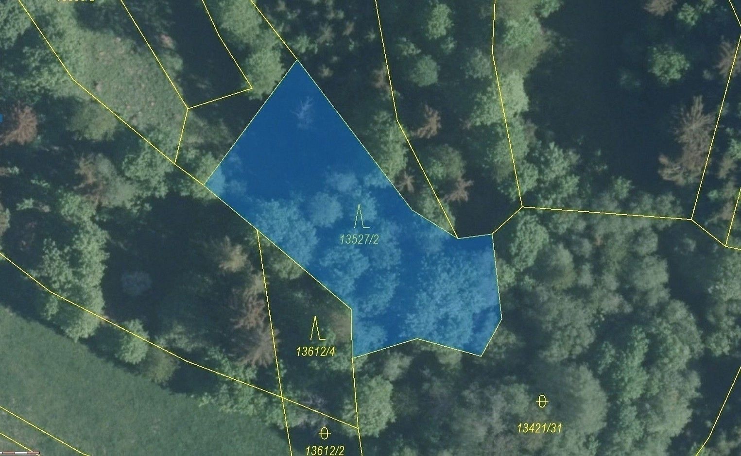 Prodej les - Hovězí, okres Vsetín, Zlínský kraj - 2