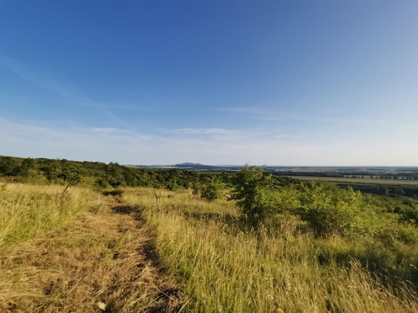 Zahrady, Židlochovice, 1 751 m² - 1