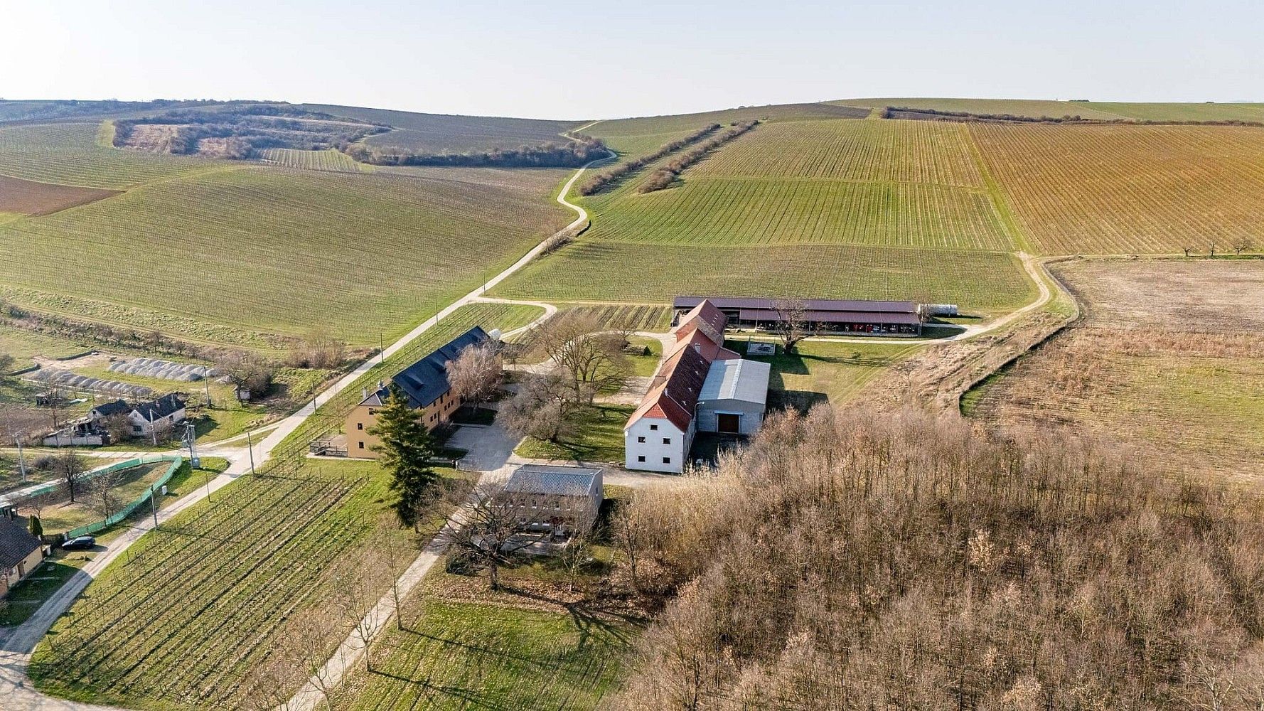 Ubytovací zařízení · 146 m² · Bzenec, okres Hodonín, Jihomoravský kraj - 4