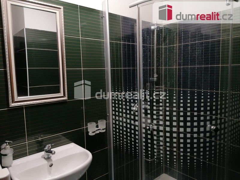 1+kk, Zenklova, Praha, 20 m²