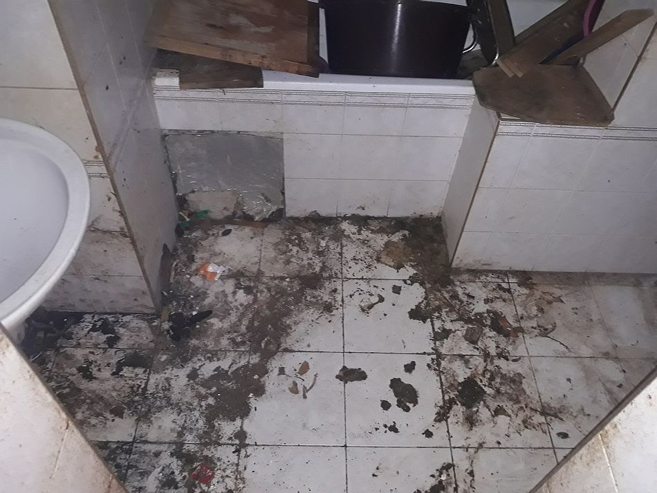 Prodej byt - Kadaň, 432 01